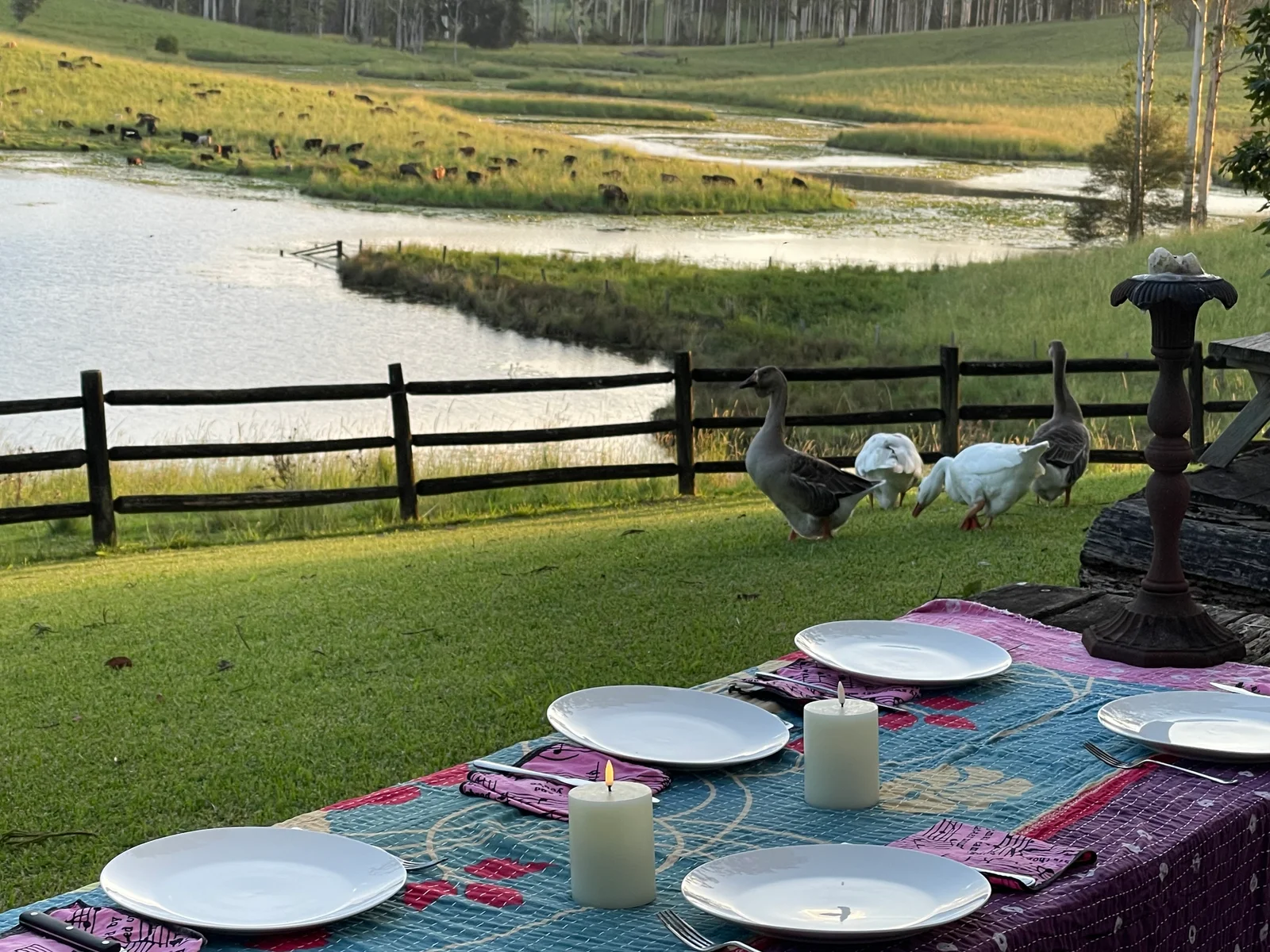 A long table set for dinner on a pasture at dusk — geese on the grass, cattle grazing in the distance across the dam